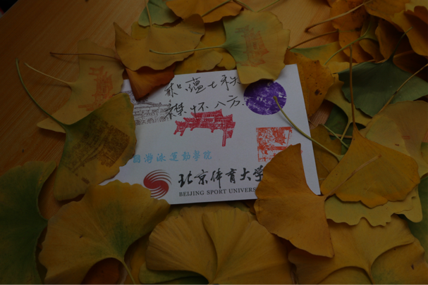 壹号体育赛事快讯图片